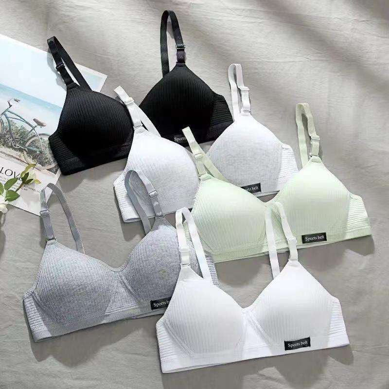 Women’s Seamless Wireless Sports Bra – Soft Padded Everyday Comfort Bra