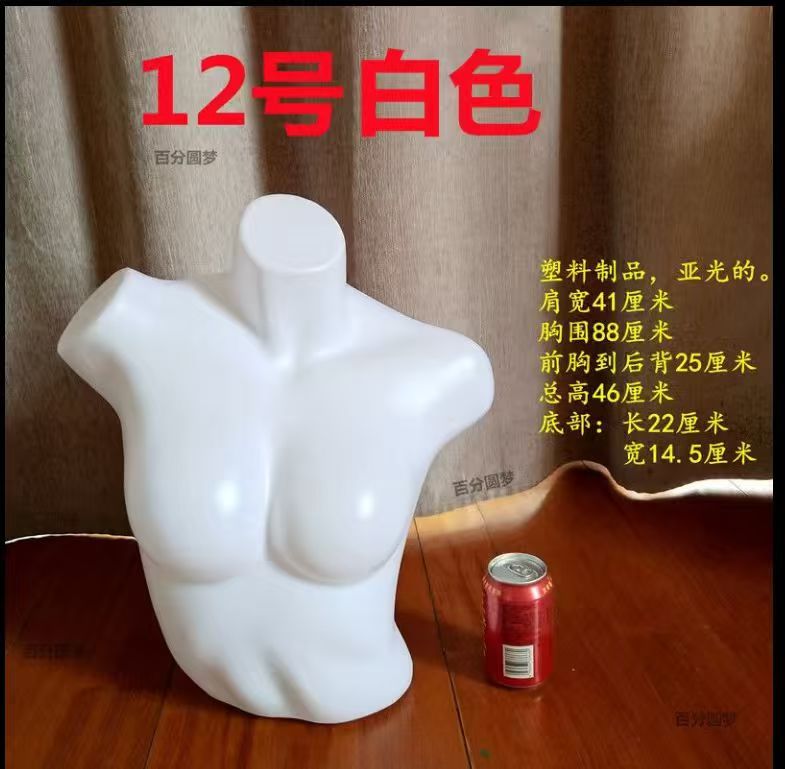 White Female Torso Mannequin Display Model