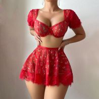 Women’s Floral Print Lace Bra Top & Mini Skirt 2 Piece Set
