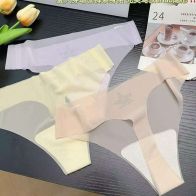 Women’s Seamless Invisible Panty – No Show Ice Silk Brief Underwear