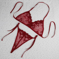 Women’s Red Floral Lace Bra & Panty Set – Sheer Tie-Up Lingerie