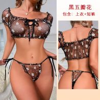 Women’s 2-Piece Floral Embroidered Sheer Mesh Lingerie Set – Puff Sleeve Crop Top and Tie-Side Thong